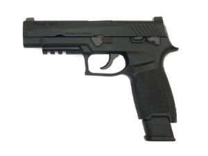 AEG-SIG-SAUER-M17-BK