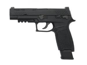 AEG-SIG-SAUER-M17-P320-BK