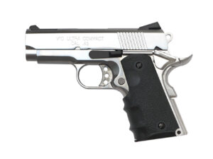 AW-SPRINGFIELD-ARMORY-V10-SV