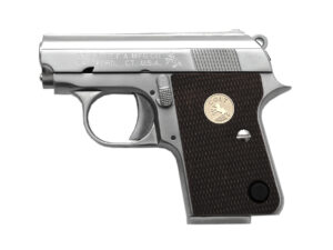 WE-COLT-JUNIOR-CT25-SV-ORG