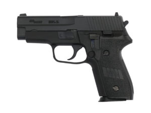WE-SIG-SAUER-P228-BK