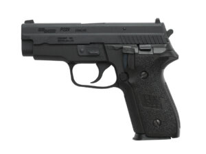 WE-SIG-SAUER-P229-BK