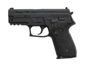 WE-SIG-SAUER-P229R-BK